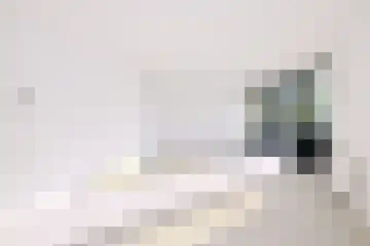 Rijsterborgherweg 7 B Deventer thumbnail 4