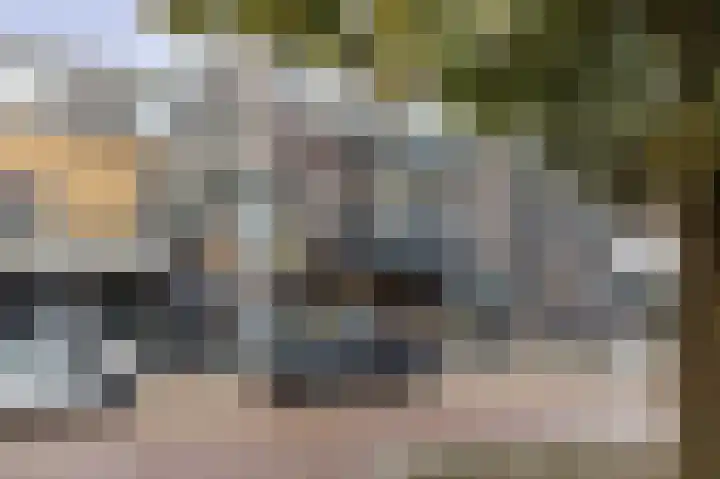 Rijsterborgherweg 7 D Deventer thumbnail 12