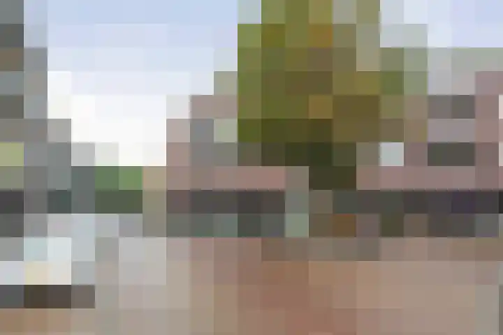 Rijsterborgherweg 7 D Deventer thumbnail 14