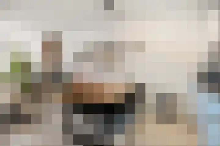 Rijsterborgherweg 7 D Deventer thumbnail 5