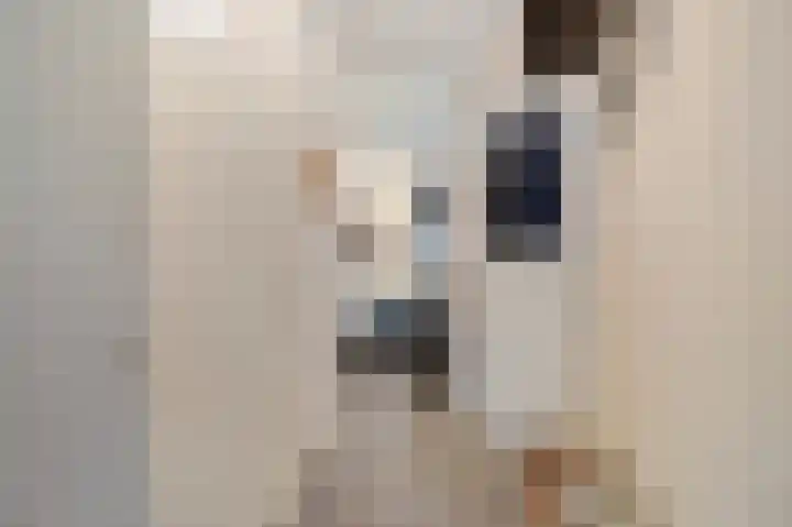 Rijsterborgherweg 7 D Deventer thumbnail 6