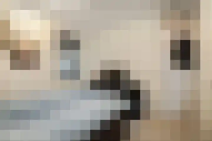 Rijsterborgherweg 7 D Deventer thumbnail 8