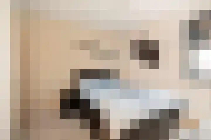 Rijsterborgherweg 7 D Deventer thumbnail 9