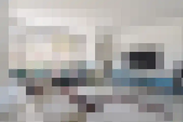 Rijsterboslaan 3 De Meern thumbnail 10