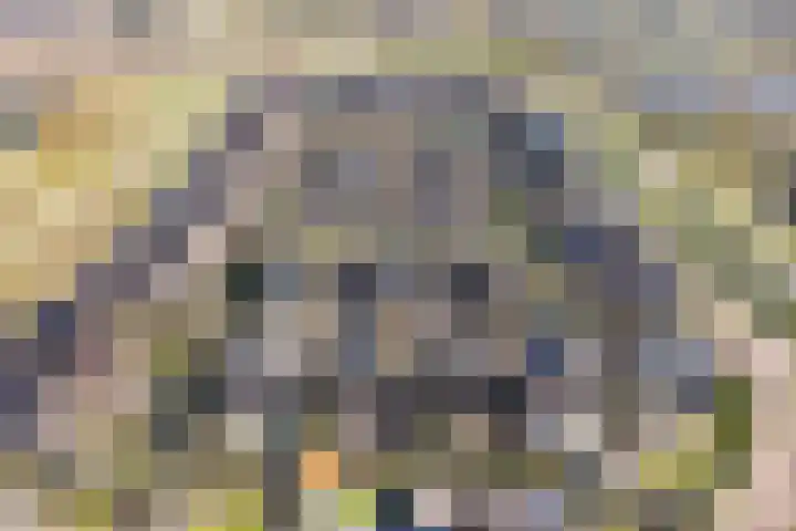 Rijsterboslaan 3 De Meern thumbnail 100