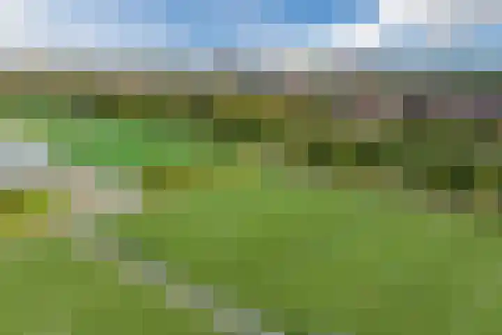 Rijsterboslaan 3 De Meern thumbnail 101