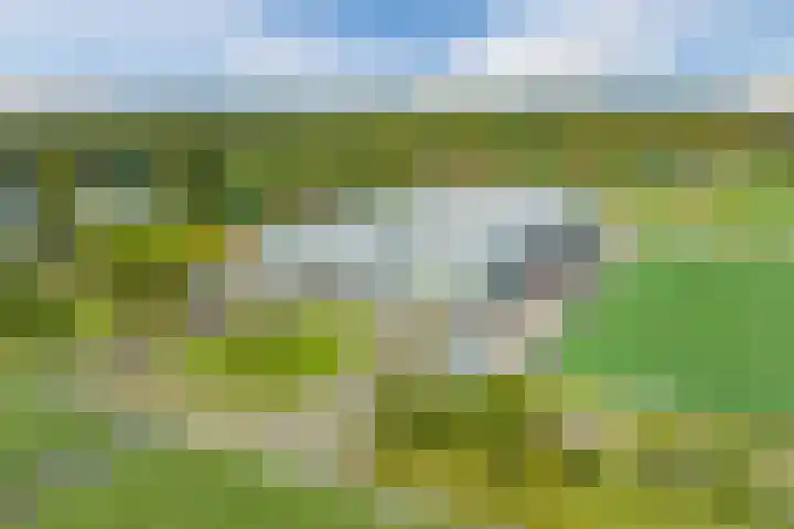 Rijsterboslaan 3 De Meern thumbnail 102