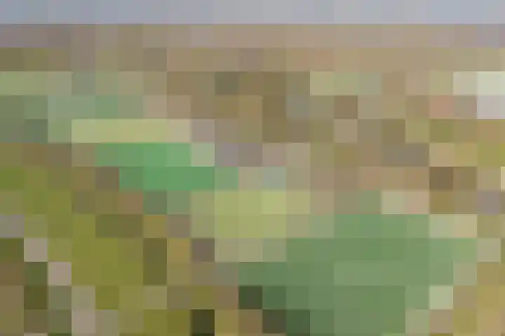 Rijsterboslaan 3 De Meern thumbnail 103