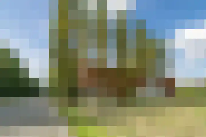 Rijsterboslaan 3 De Meern thumbnail 105
