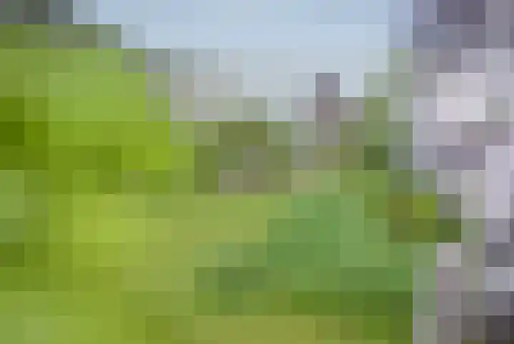 Rijsterboslaan 3 De Meern thumbnail 106