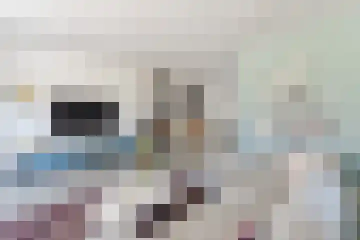 Rijsterboslaan 3 De Meern thumbnail 11