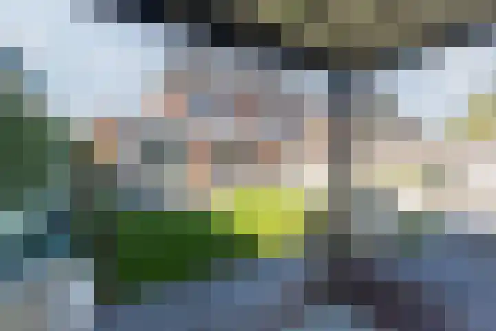 Rijsterboslaan 3 De Meern thumbnail 30