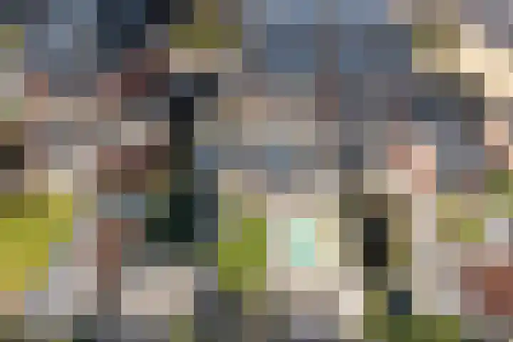 Rijsterboslaan 3 De Meern thumbnail 32
