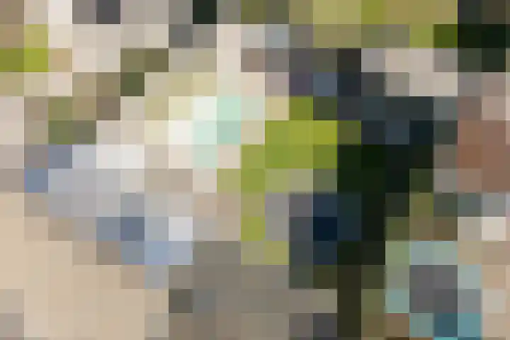 Rijsterboslaan 3 De Meern thumbnail 33