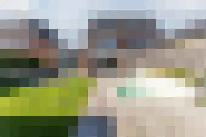 Rijsterboslaan 3 De Meern thumbnail 36