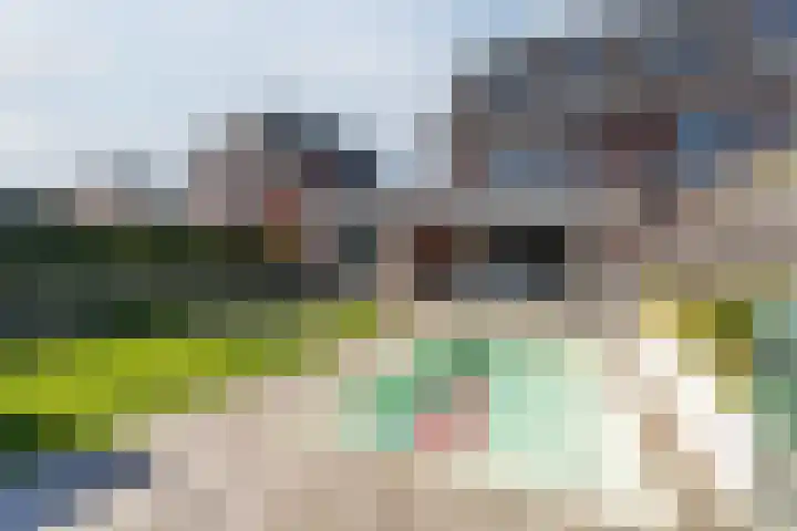 Rijsterboslaan 3 De Meern thumbnail 38