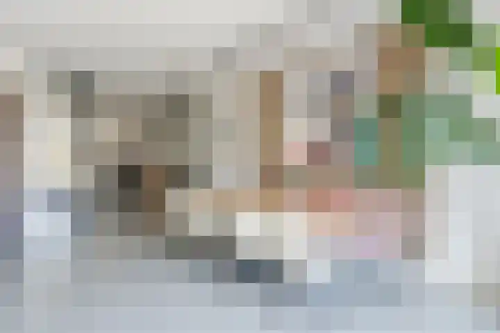 Rijsterboslaan 3 De Meern thumbnail 41