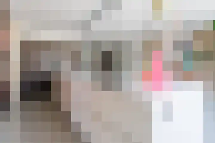 Rijsterboslaan 3 De Meern thumbnail 46