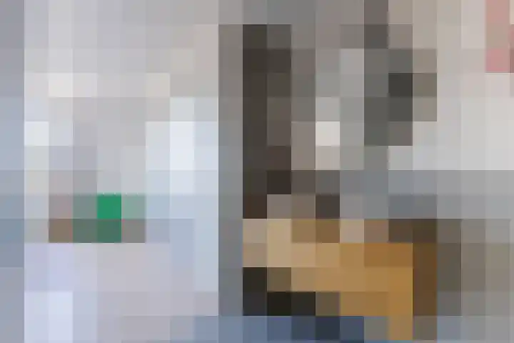 Rijsterboslaan 3 De Meern thumbnail 72