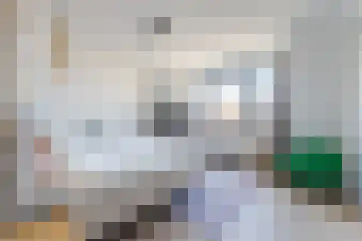Rijsterboslaan 3 De Meern thumbnail 73