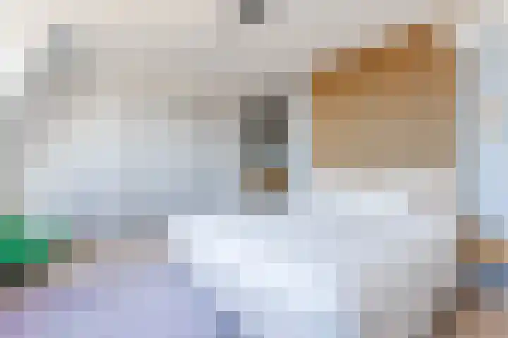 Rijsterboslaan 3 De Meern thumbnail 77