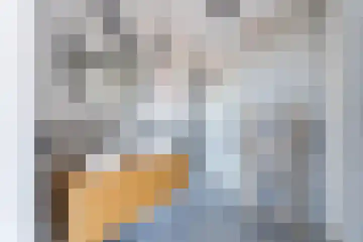 Rijsterboslaan 3 De Meern thumbnail 78