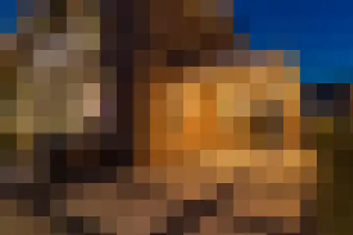 Rijsterboslaan 3 De Meern thumbnail 90