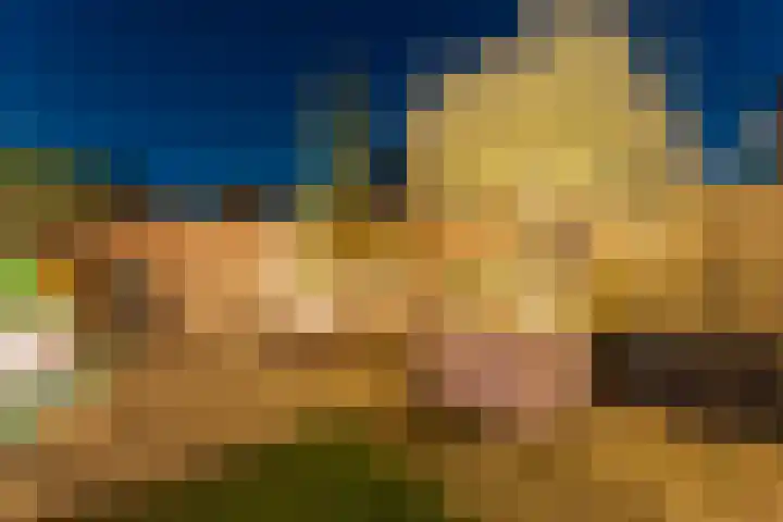 Rijsterboslaan 3 De Meern thumbnail 96