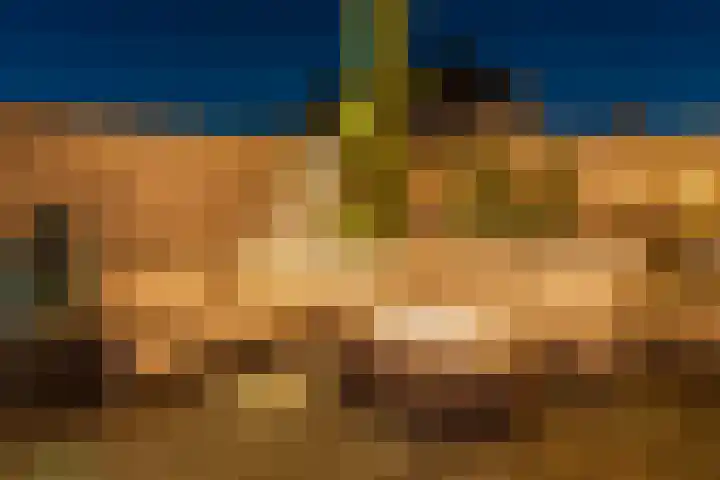 Rijsterboslaan 3 De Meern thumbnail 97