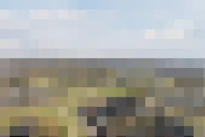 Rijsterboslaan 3 De Meern thumbnail 99