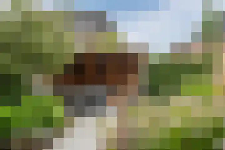Rijsterboslaan 5 De Meern thumbnail 12