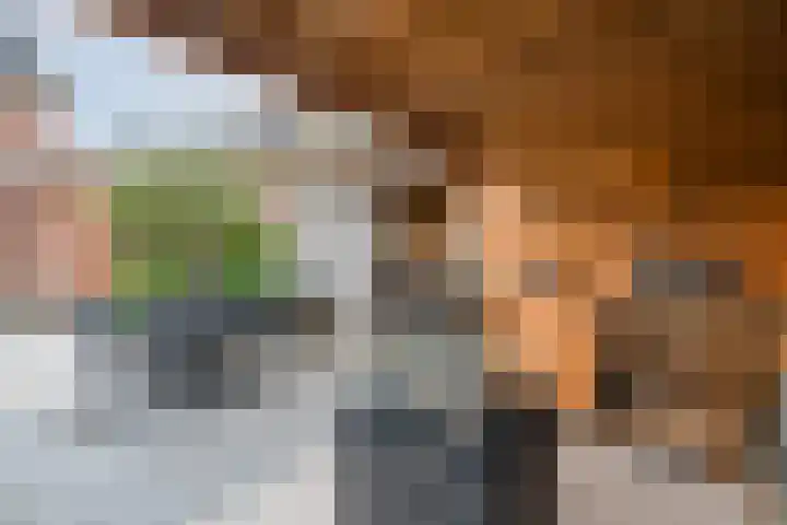 Rijsterboslaan 5 De Meern thumbnail 15
