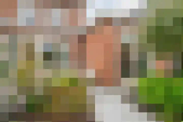 Rijsterboslaan 5 De Meern thumbnail 20