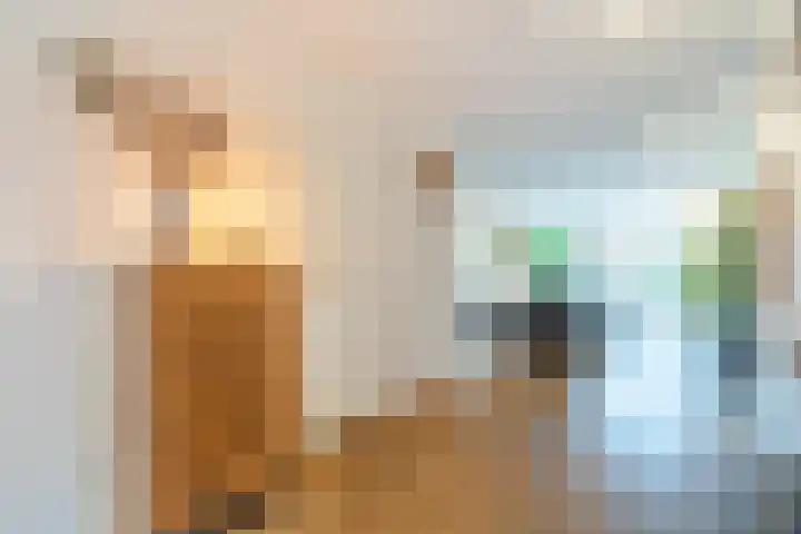 Rijsterboslaan 5 De Meern thumbnail 33