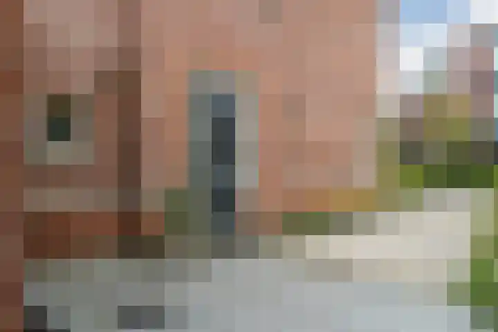 Rijsterboslaan 5 De Meern thumbnail 66