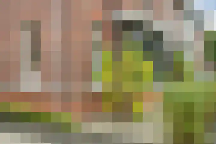 Rijsterboslaan 5 De Meern thumbnail 68