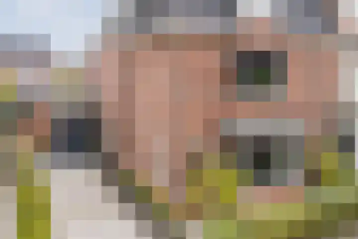 Rijsterboslaan 5 De Meern thumbnail 69