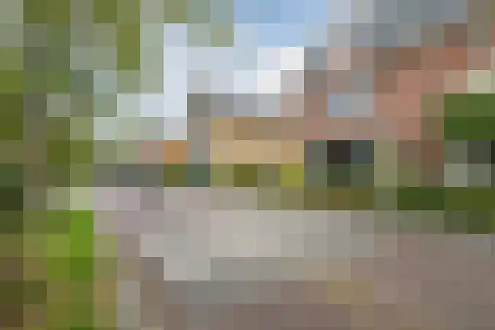 Rijsterboslaan 5 De Meern thumbnail 70