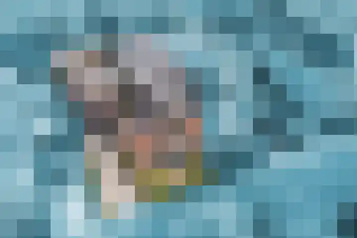 Rijsterboslaan 5 De Meern thumbnail 73