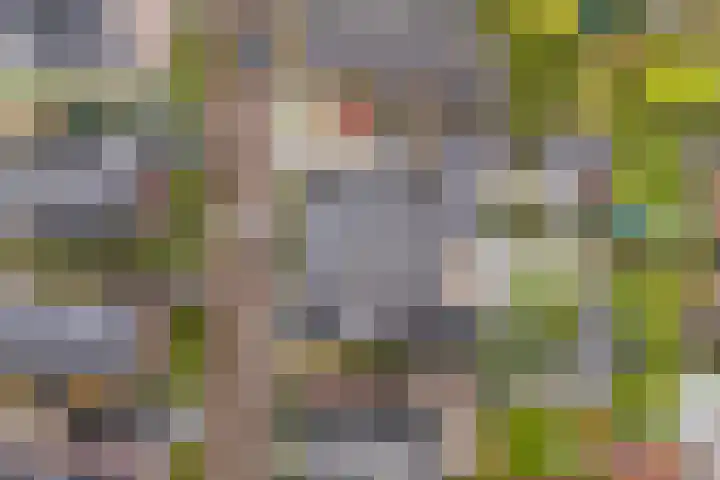 Rijsterboslaan 5 De Meern thumbnail 74