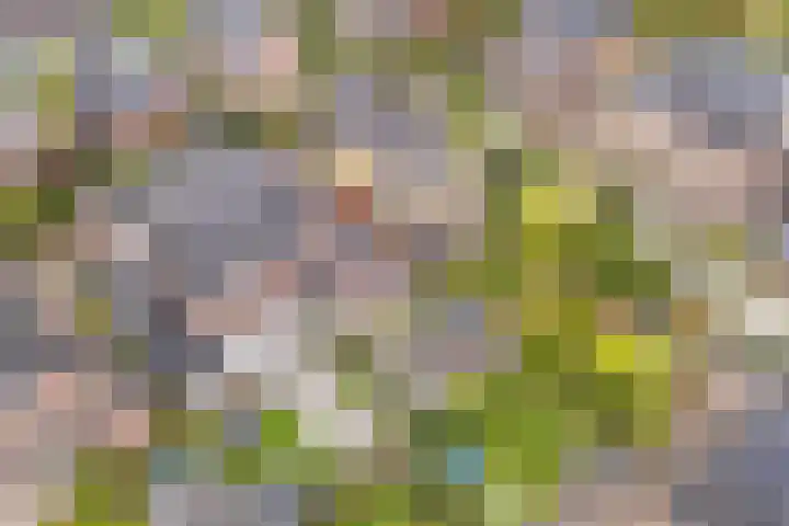 Rijsterboslaan 5 De Meern thumbnail 75