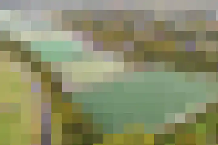 Rijsterboslaan 5 De Meern thumbnail 78