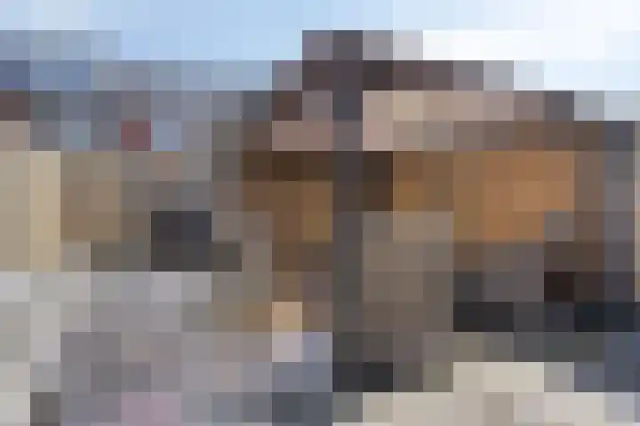 Rijstgras 10 E Rotterdam thumbnail 12