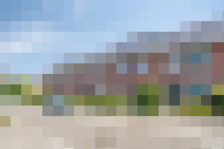Rijstgras 10 E Rotterdam thumbnail 32