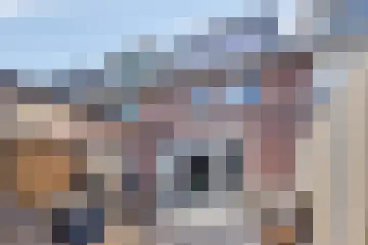 Rijstgras 10 E Rotterdam thumbnail 4