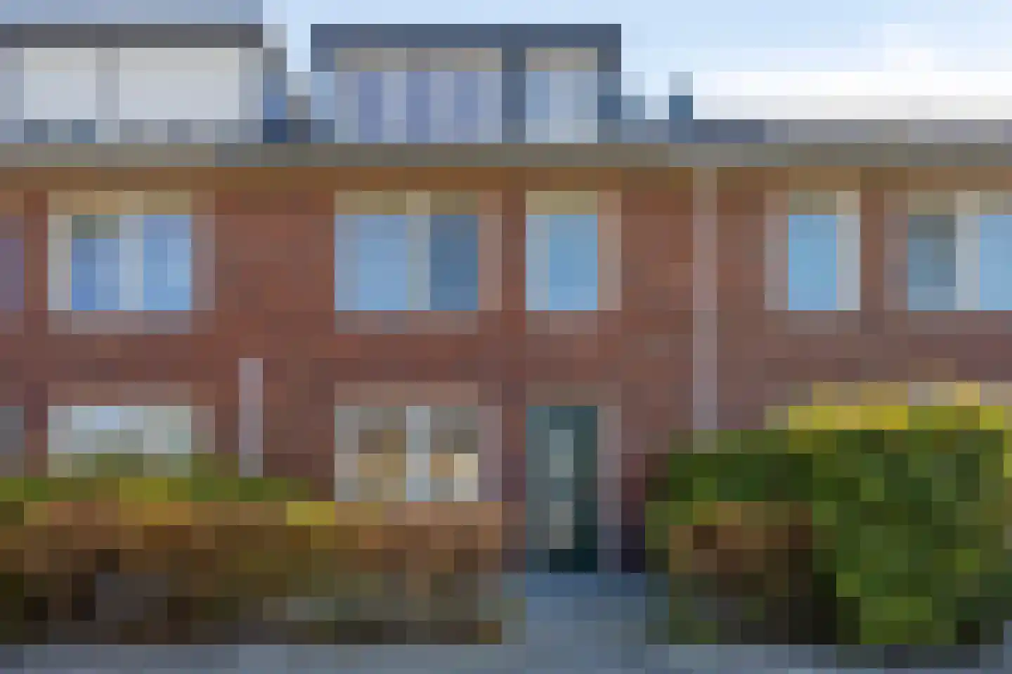 Rijstgras 10 E Rotterdam thumbnail 6
