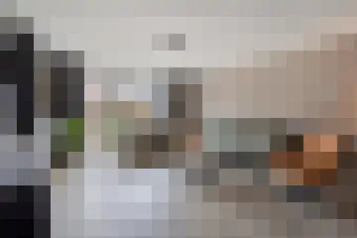 Rijstgras 10 E Rotterdam thumbnail 8