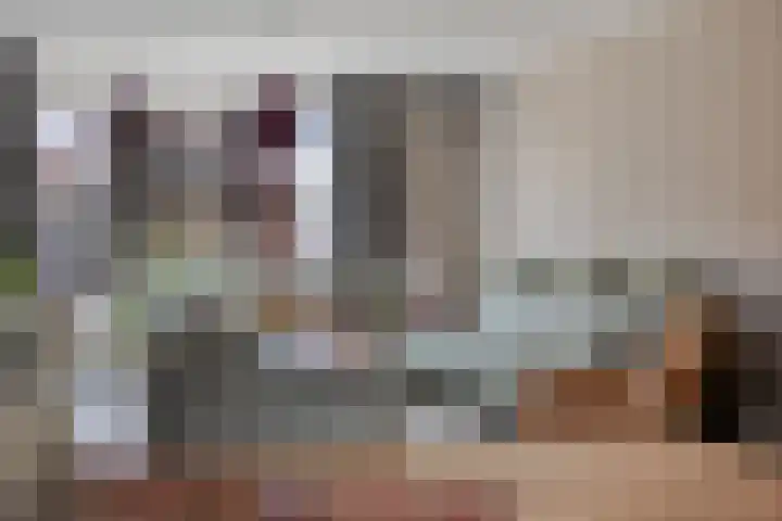 Rijstgras 10 E Rotterdam thumbnail 9