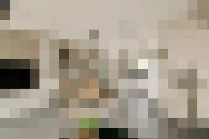 Rijstgras 40 Rotterdam thumbnail 10