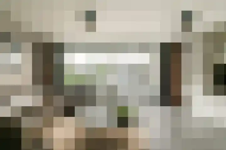 Rijstgras 40 Rotterdam thumbnail 15